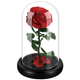 Illustration for article titled Fathers Day deal: SWEET DIARY rose kitem/emem/em